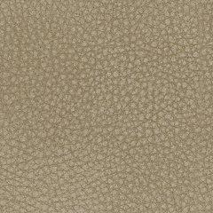 Next-Gen DuraPella Power Recliner - Furniture 2 Go- FL