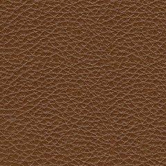 Healy Pier Power Recliner - Furniture 2 Go- FL