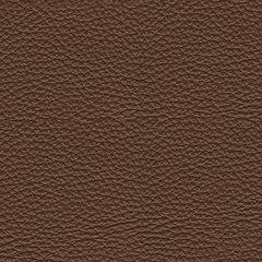 VonRyan Living Room Set - Furniture 2 Go- FL