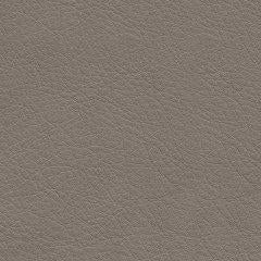 5Z-Comfort Living Room Set - Furniture 2 Go- FL