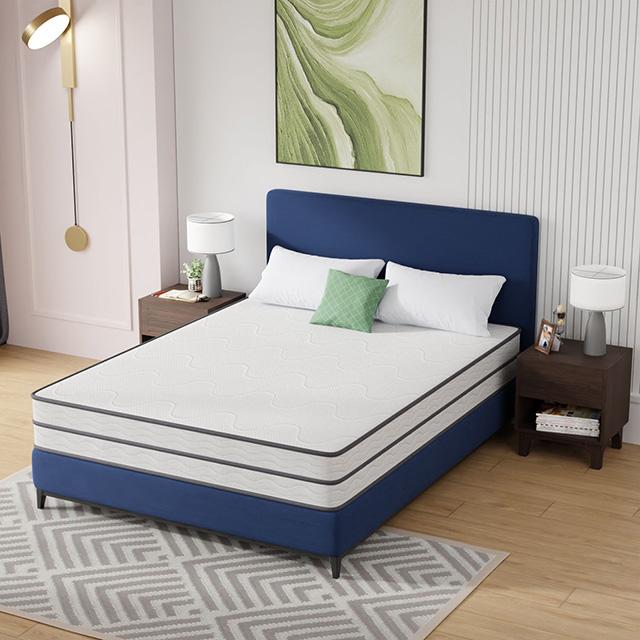 Catmint Mattress - Furniture 2 Go- FL