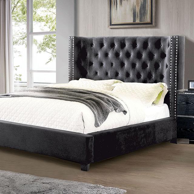 Cayla Cal.King, E.King, & Queen Bed Silver & Grey - Furniture 2 Go- FL