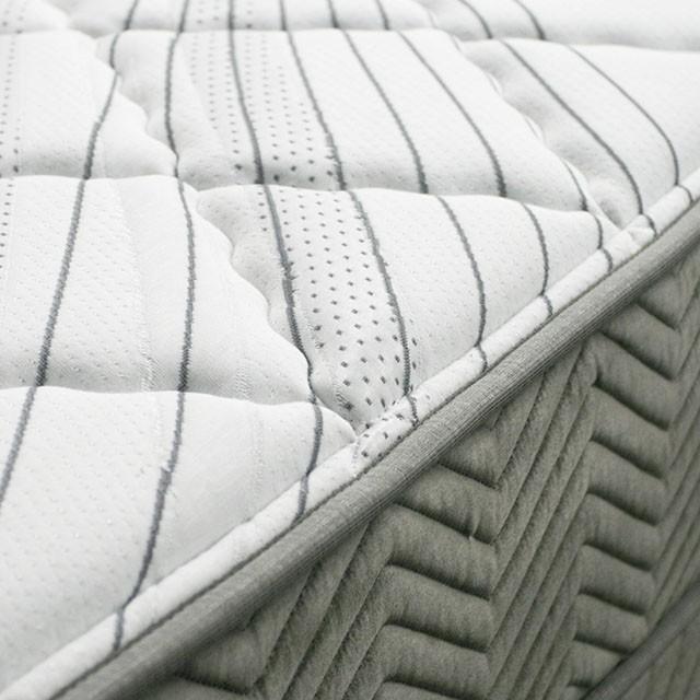 EDREA White/Gray 10" Tight Top Pocket Coil, Cal.King - Furniture 2 Go- FL