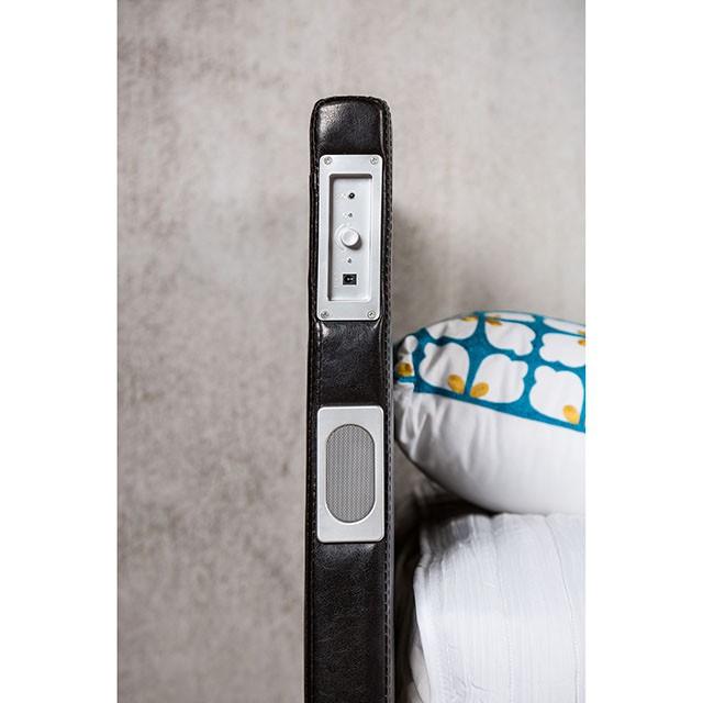 Evans E.King Bed - Furniture 2 Go- FL