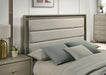 Rainier Queen Bedroom Set - Furniture 2 Go- FL