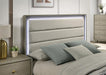 Rainier Queen Bedroom Set - Furniture 2 Go- FL