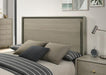 Rainier Queen Bedroom Set Gray - Furniture 2 Go- FL