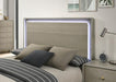 Rainier Queen Bedroom Set Gray - Furniture 2 Go- FL
