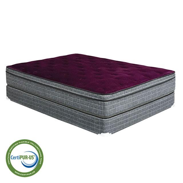 Purple/Grey 13" Euro Pillow Top Mattress Non-Flip, Full - Furniture 2 Go- FL