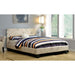 Evans Queen & Full Bed - Furniture 2 Go- FL