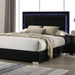Sinistra Queen Bedroom Set - Furniture 2 Go- FL